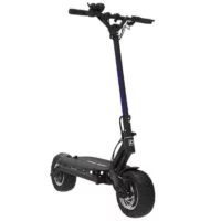 ЭЛЕКТРОСАМОКАТ DUALTRON THUNDER